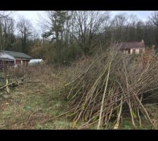 C'est lheure de retirer les arbres et il faut  d&eacute;broussailler le terrain !
Ensuite d&eacute;butera la construction.