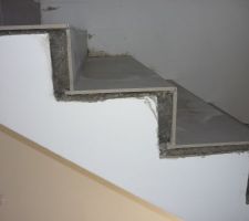 J 246, une photo du carrelage des marches ...