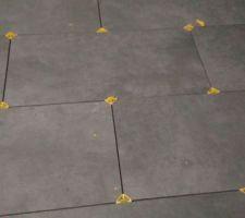 C'est-t-y pas beau ça?