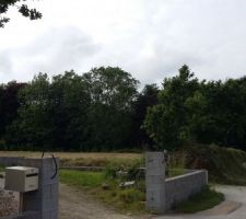 Vue en arrivant sur le terrain, devant l'entr&eacute;e du voisin

petit coup de propre sur le terrain