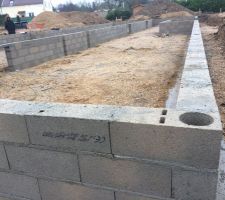 Vide sanitaire en cours