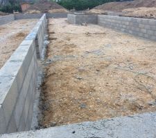 Vide sanitaire en cours