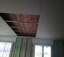 Pose du faux plafond du RDC