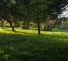 Vu du fond du terrain avec un jolie rayon de soleil :)