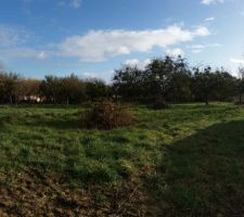 Enfin propri&eacute;taire!
 terrain avec un peu de soleil qui se fait rare c'est temps ci....