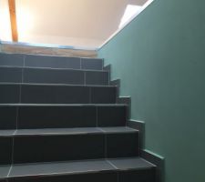 Carrelage 60/60 V&B
avec peinture verte montée d'escalier