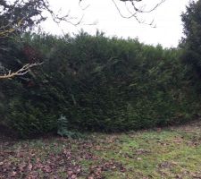 Le Terrain avec une petite pr&eacute;paration personnelle :p en attente du terrassier