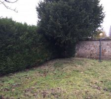 Le Terrain avec une petite pr&eacute;paration personnelle :p en attente du terrassier