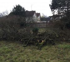 Le Terrain avec une petite pr&eacute;paration personnelle :p en attente du terrassier