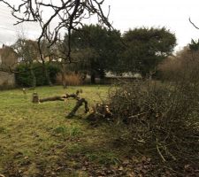 Le Terrain avec une petite pr&eacute;paration personnelle :p en attente du terrassier