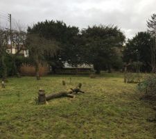 Le Terrain avec une petite pr&eacute;paration personnelle :p en attente du terrassier