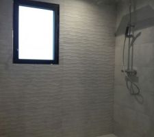Notre salle d'eau ! Reste le meuble et la paroi de douche