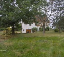 Est ce bien un ch&ecirc;ne??  en tout cas, l'est chouette, l'arbre