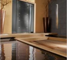 Choix de la porte d'entrée: modèle "zen" en alu noir, avec une seule tierce (vitrée)