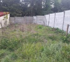 Terrain avant construction