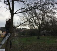 Prparation du terrain