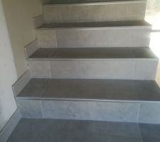 Carrelage Sintesi Evoque Perla