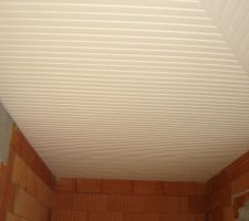 Plafond terrasse en PVC