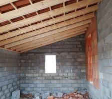 Toit terminé ;) Garage