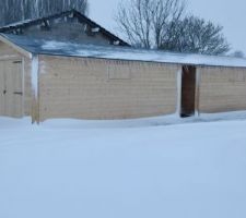 Sous la neige