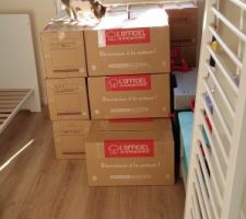 La chambre de notre fils transformée en stockage de meubles et cartons lol