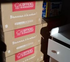 La chambre de notre fils transformée en stockage de meubles et cartons lol