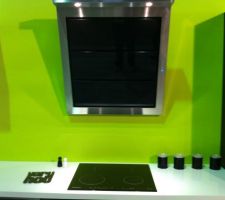 Hotte et plaque induction
