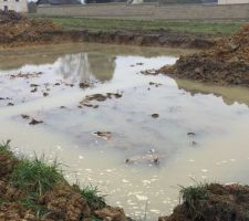 La piscine avance bien