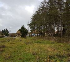 Terrain d'environ 865 m² - Chaumont Sur Tharonne (41)