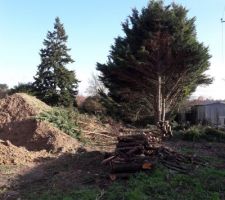 &eacute;lagage suite