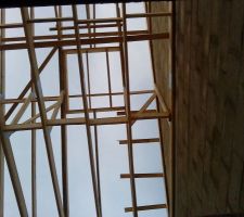 Réserve pour futur velux