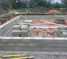 Debut d?elevat Du vide sanitaire