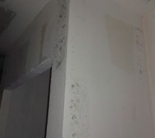 Traces de moisissures