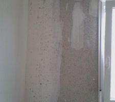 Traces de moisissures