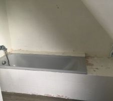 Photo de la salle de bain 
Coter baignoire
