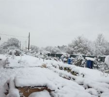 Bien au chaud à la maison avec le poêle à granulés