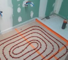 Serpentins SDB RDC