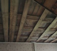 Plafond cuisine/plancher salle de bain