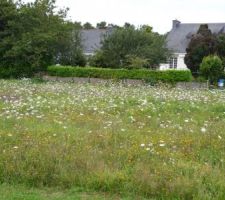 Vue de l'entr&eacute;e du terrain