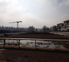 Construction de la future Esplanade Napoléon Bonaparte. Des arbres sont en cours de plantation.
