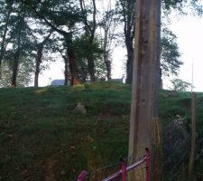 Terrain avant travaux et cloture