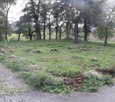 Terrain sans la cl&ocirc;ture avant les travaux