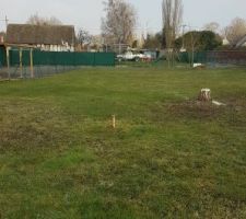 Abattage des arbres