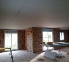 Pose du placo plafond 
et isolation des murs extérieurs