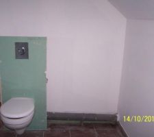 Toilette dans la salle d'eau