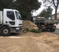 Camions