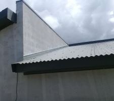 3 toitures monopentes dont deux cachés pour effet cube à l avant et sur les côtés de la maison