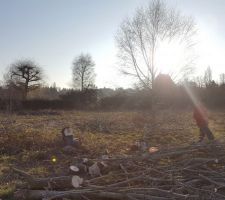 3 arbres à faire tomber