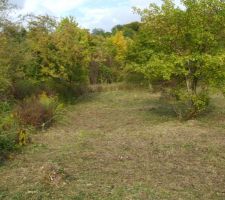 Terrain apr&egrave;s d&eacute;broussaillage