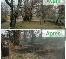 Aujourd'hui grâce à la pluie qui a cessé de tomber, nous enfin mon mari, à pu abattre quelques arbres